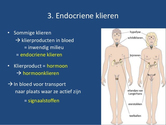 wat zijn klieren wat zijn klieren